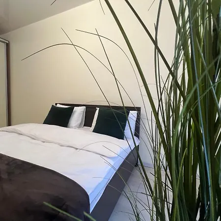 Vip Avalon чорновола 16-з Apartman Lviv