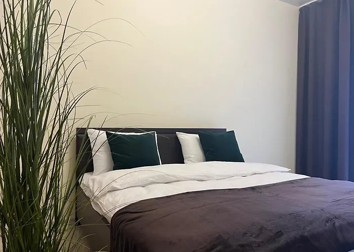 Vip Avalon чорновола 16-з *